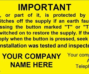 100 Swift 205P Personalised ECA Six Monthly Test Labels